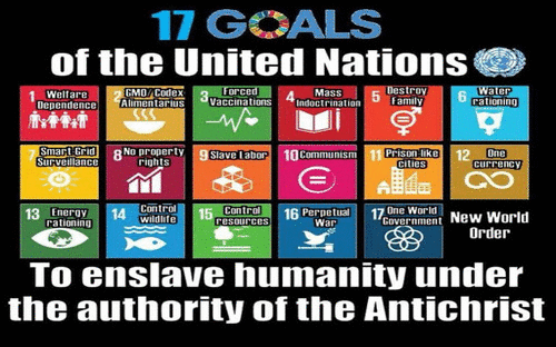 17 UN Goals...