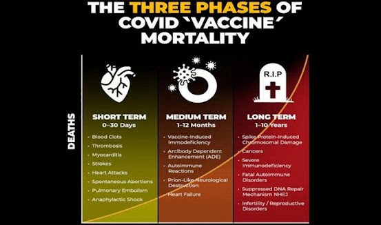 The Three Phases of Covid Vaccine Mortality