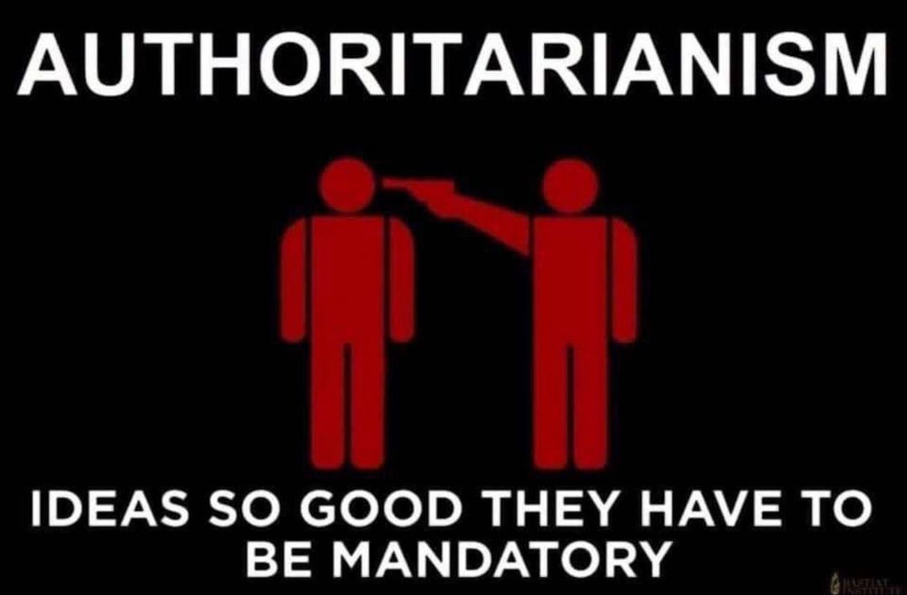 Display Authoritarianism