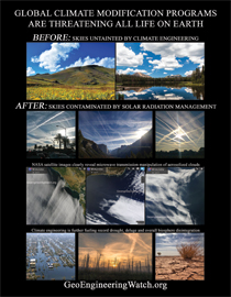 Geoengineeringwatch.org 2017 Flyer