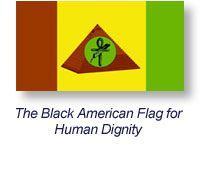 Indigenous American Flag For Human Dignity