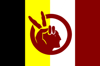 American Indian Movement Flag